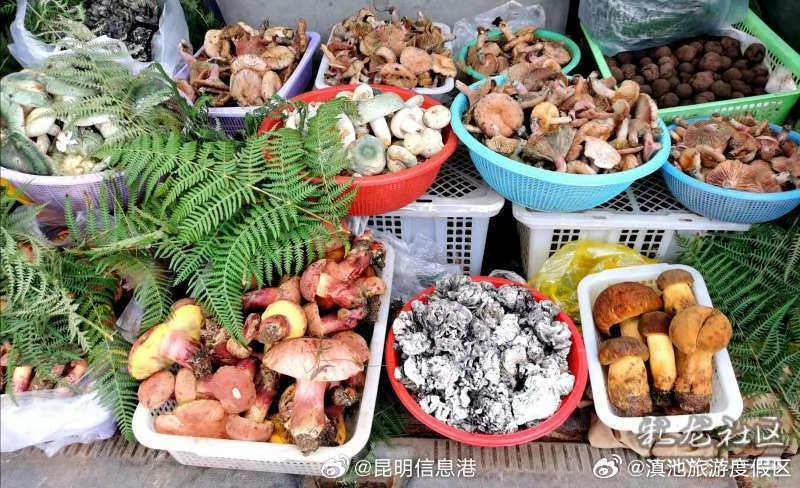 滇池旅游度假区