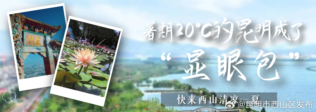 昆明市西山区发布