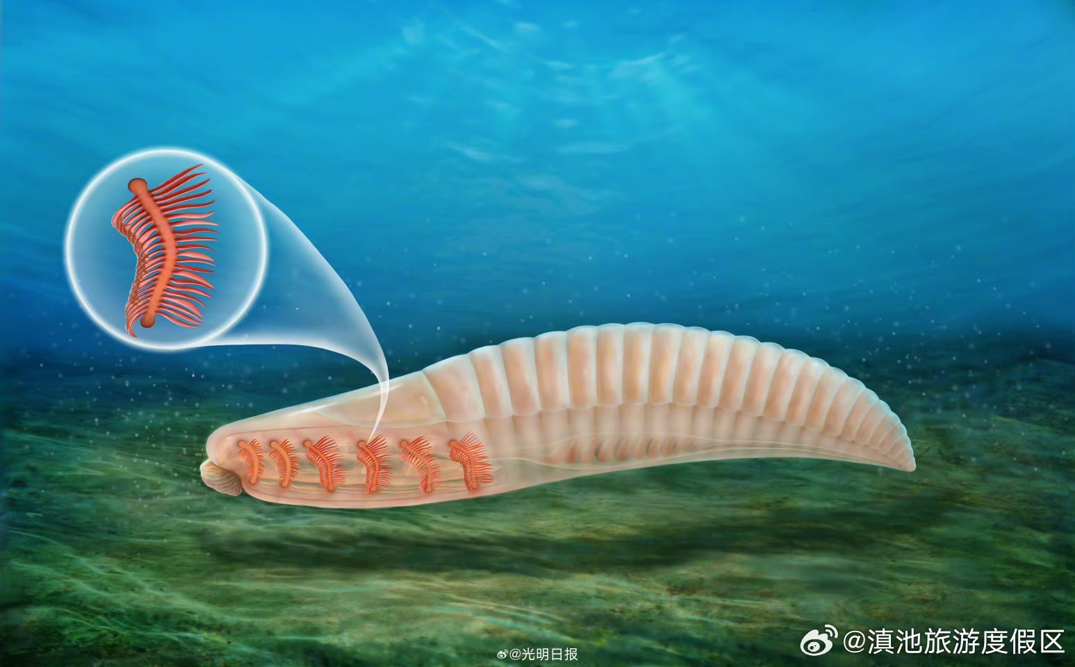 滇池旅游度假区