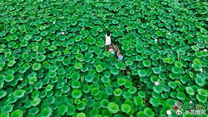 云南省文化和旅游厅