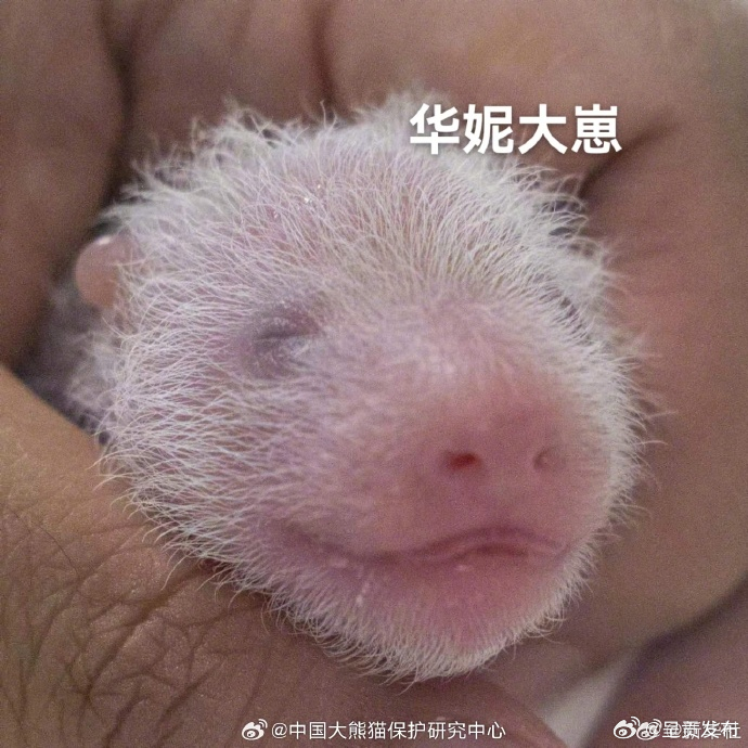 呈贡发布