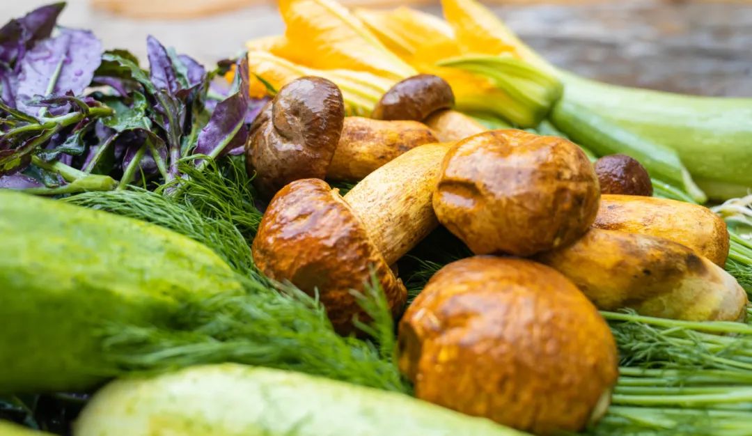 晋宁诗意的栖居地