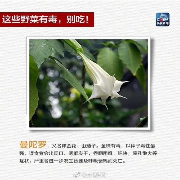 掌上春城微信