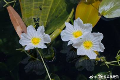呈贡发布