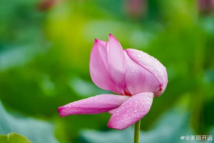 云南省文化和旅游厅