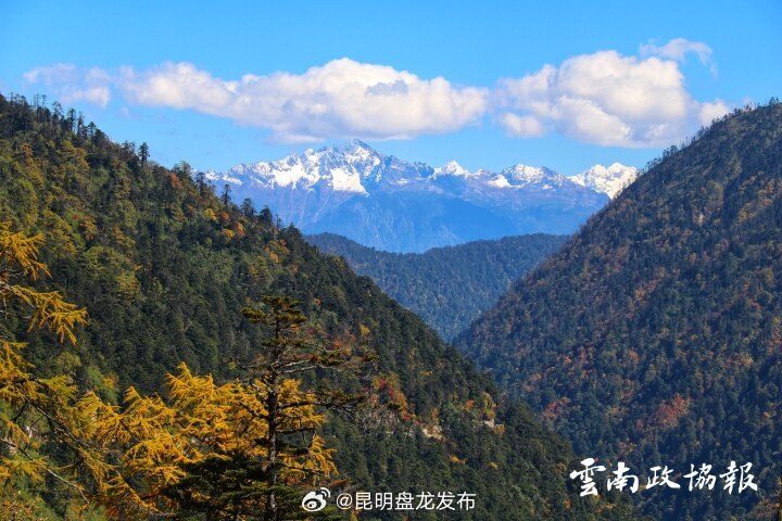 昆明盘龙发布