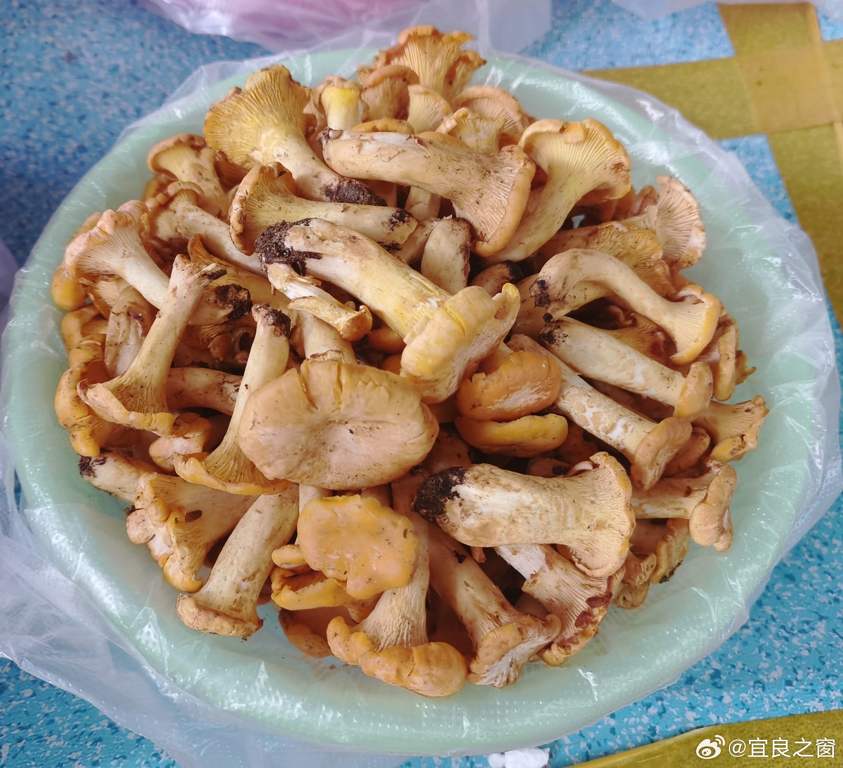 宜良之窗