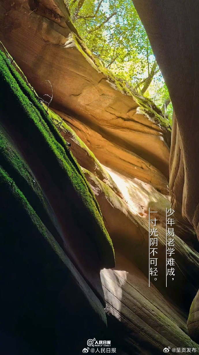 呈贡发布