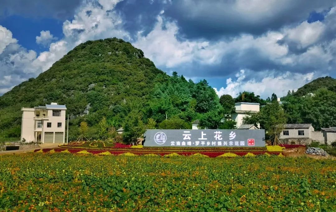珠源先锋