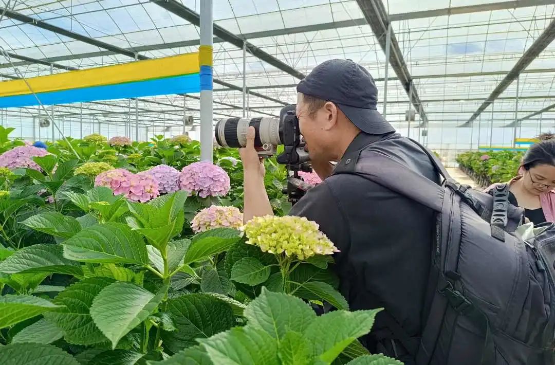 晋宁诗意的栖居地