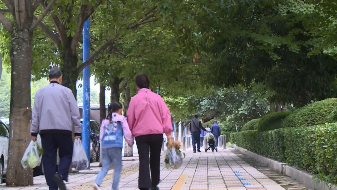丽江日报