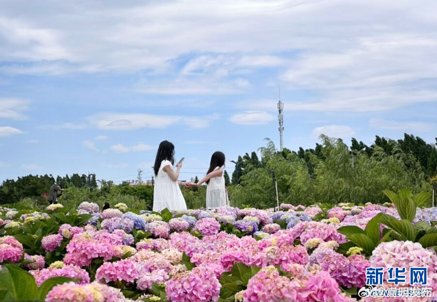 嵩明发布