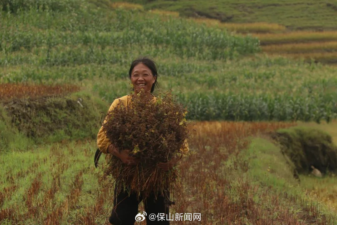 保山新闻网