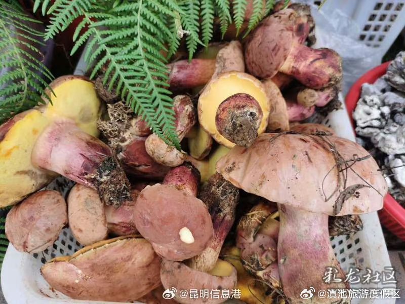 滇池旅游度假区