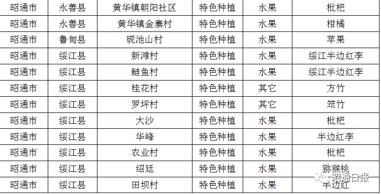 昭通日报