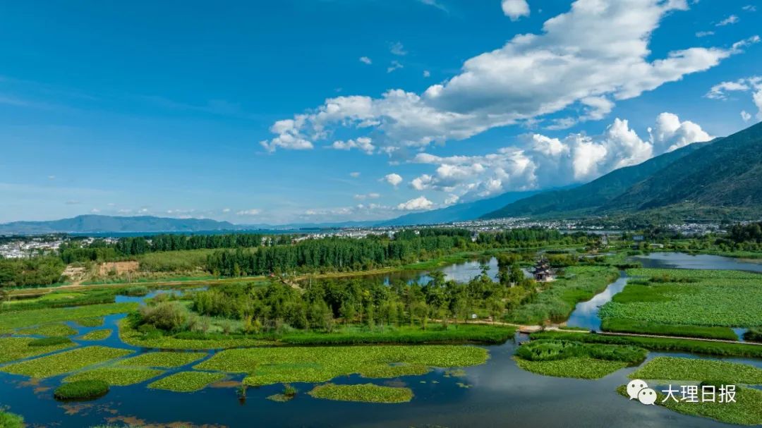 大理日报