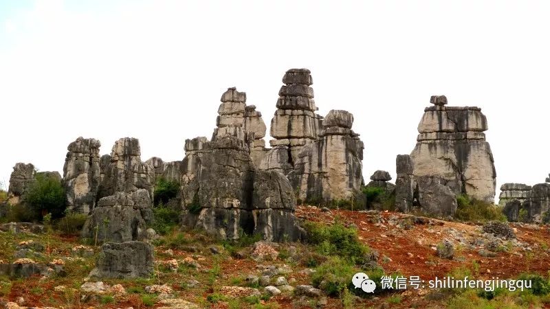 石林融媒