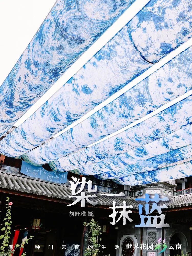 云南省文化和旅游厅