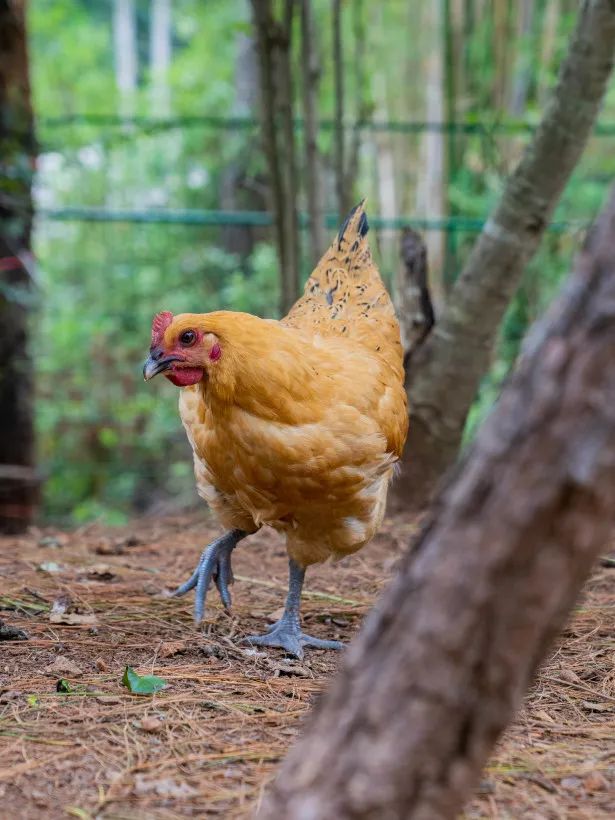 晋宁诗意的栖居地