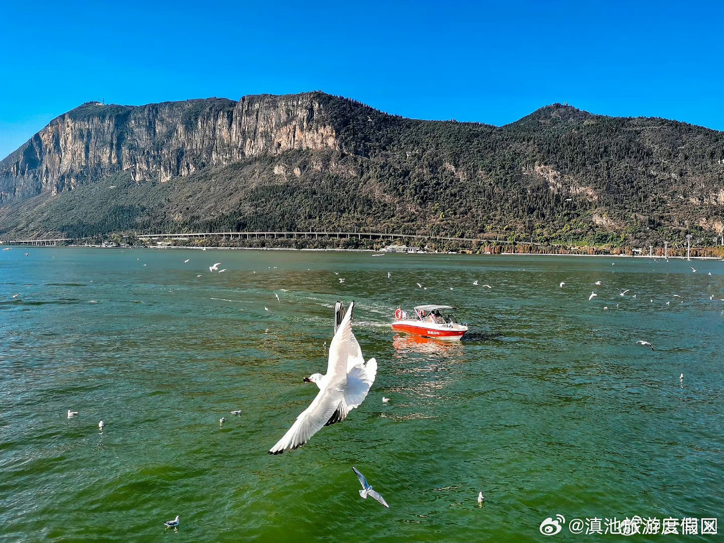 霞客行之江山多娇 | 昆明滇池：尽显生态和谐之美