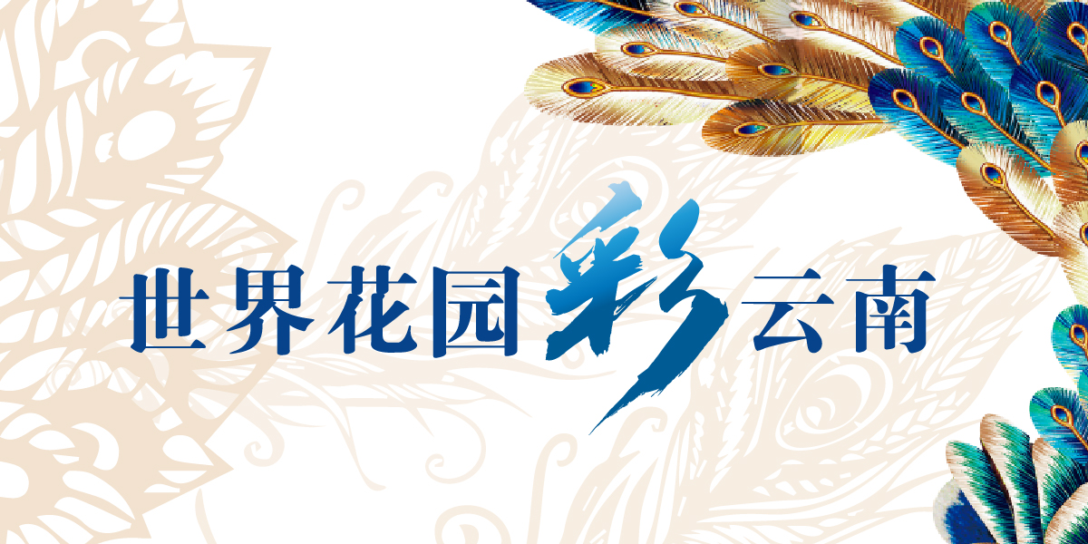 云南省文化和旅游厅