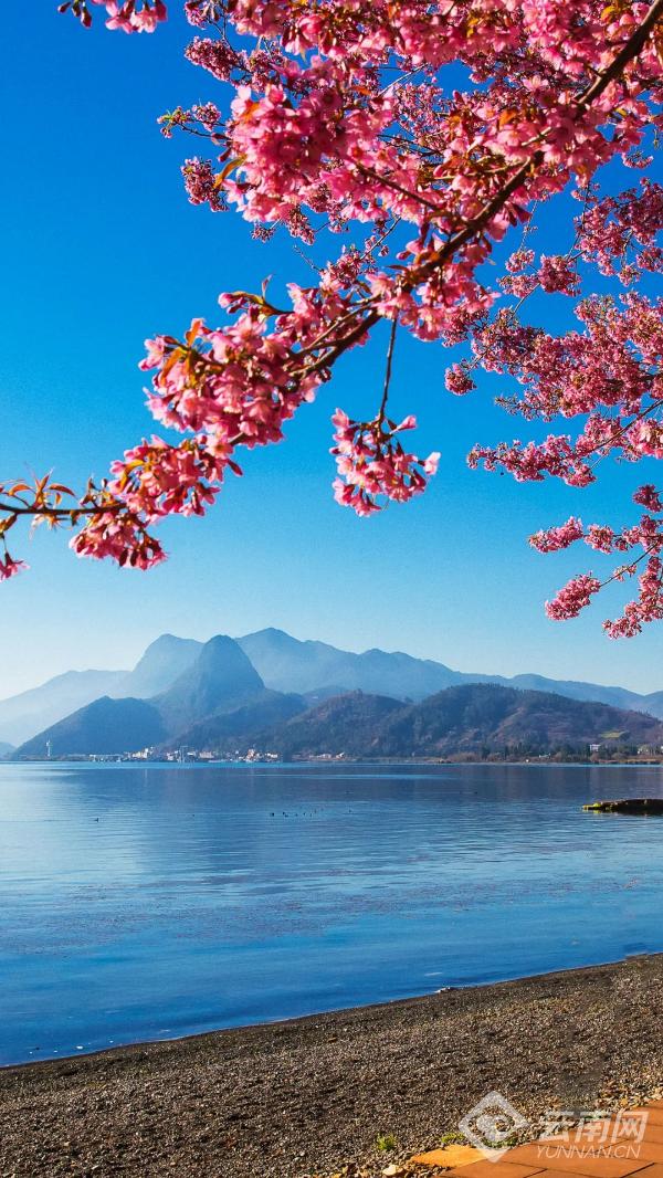 云南省文化和旅游厅