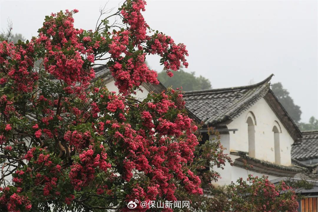 保山新闻网