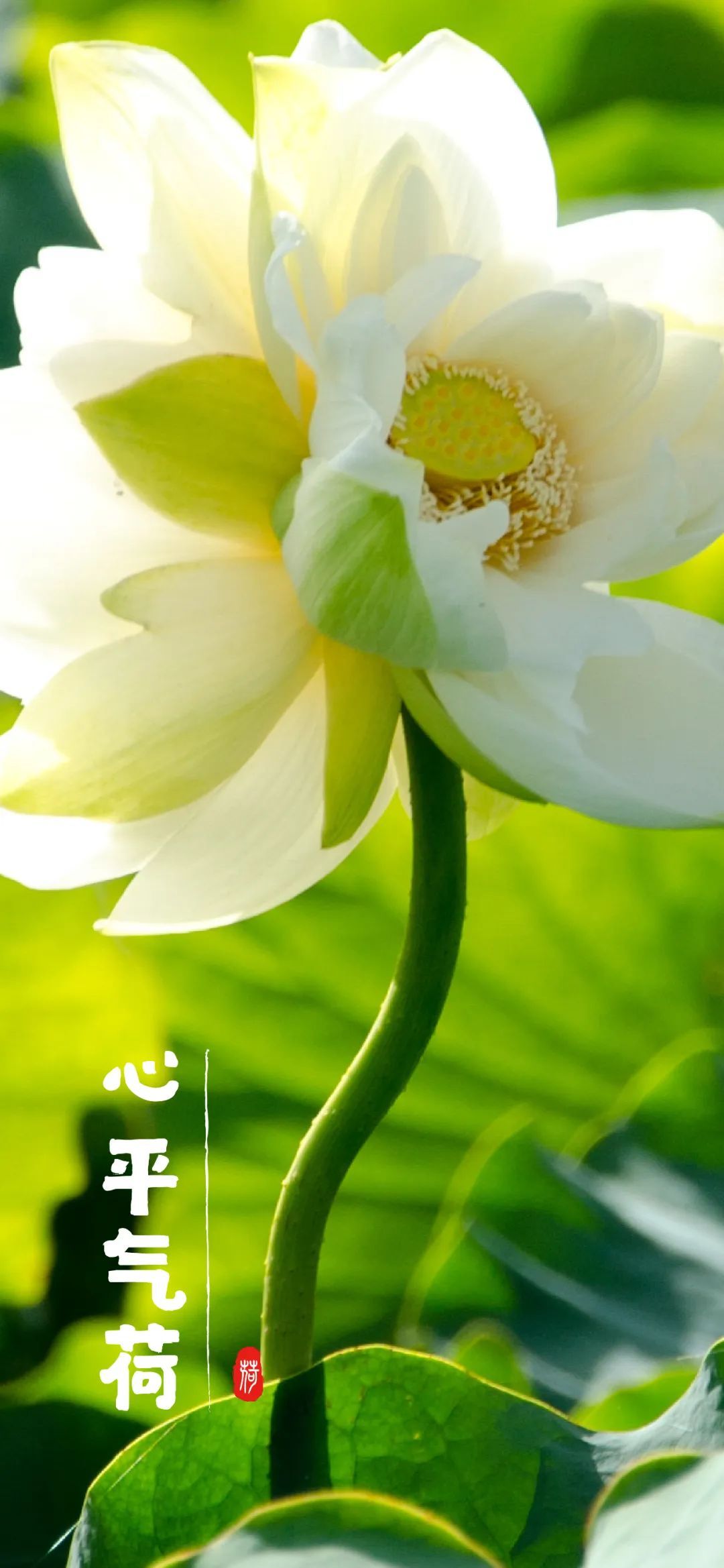 云南省文化和旅游厅