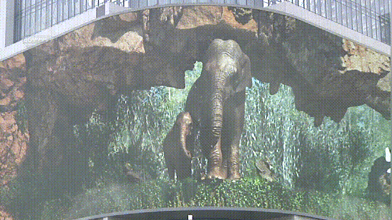 掌上春城微信