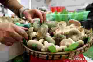 呈贡发布