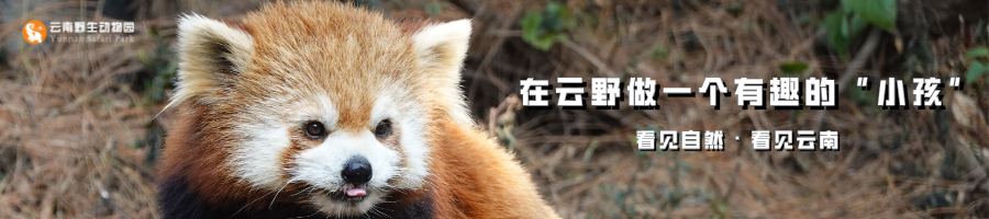 云南野生动物园