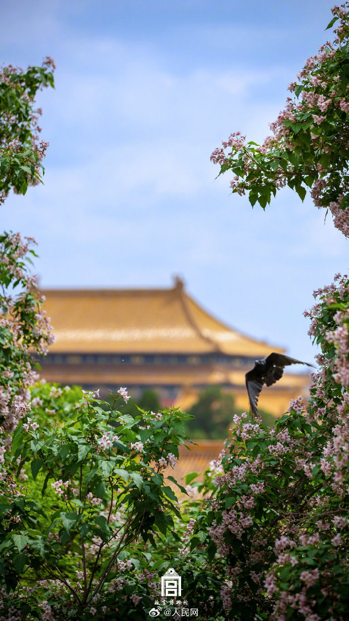 人民网