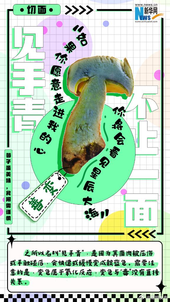 嵩明发布