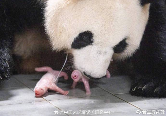呈贡发布