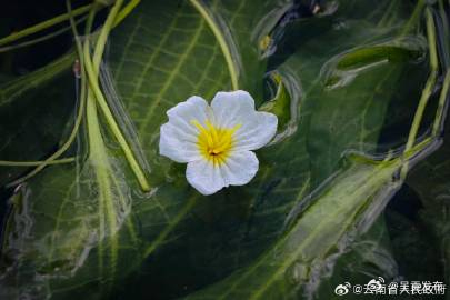 呈贡发布