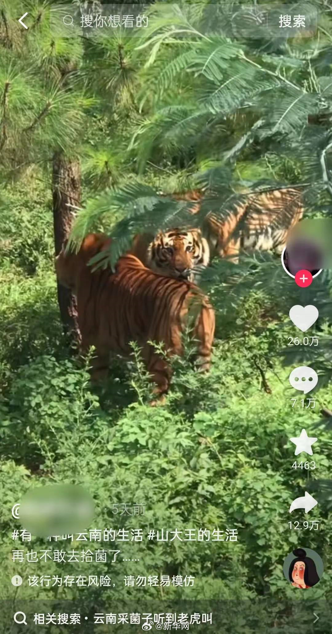 新华网