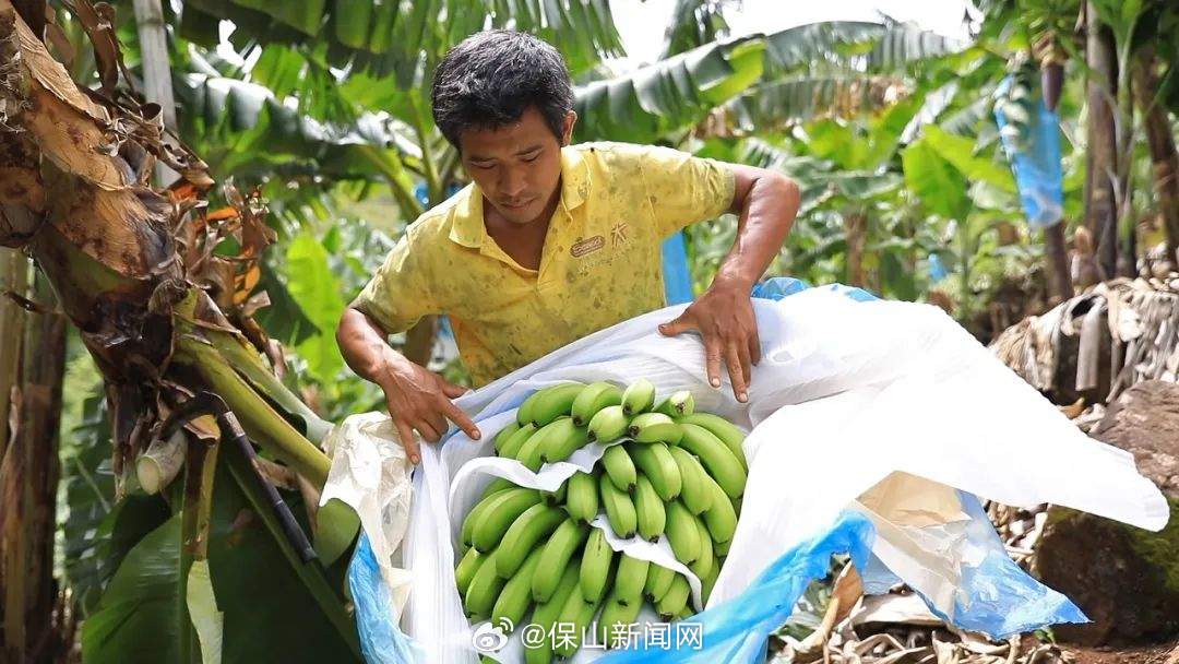 保山新闻网