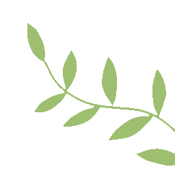 云南省中医医院