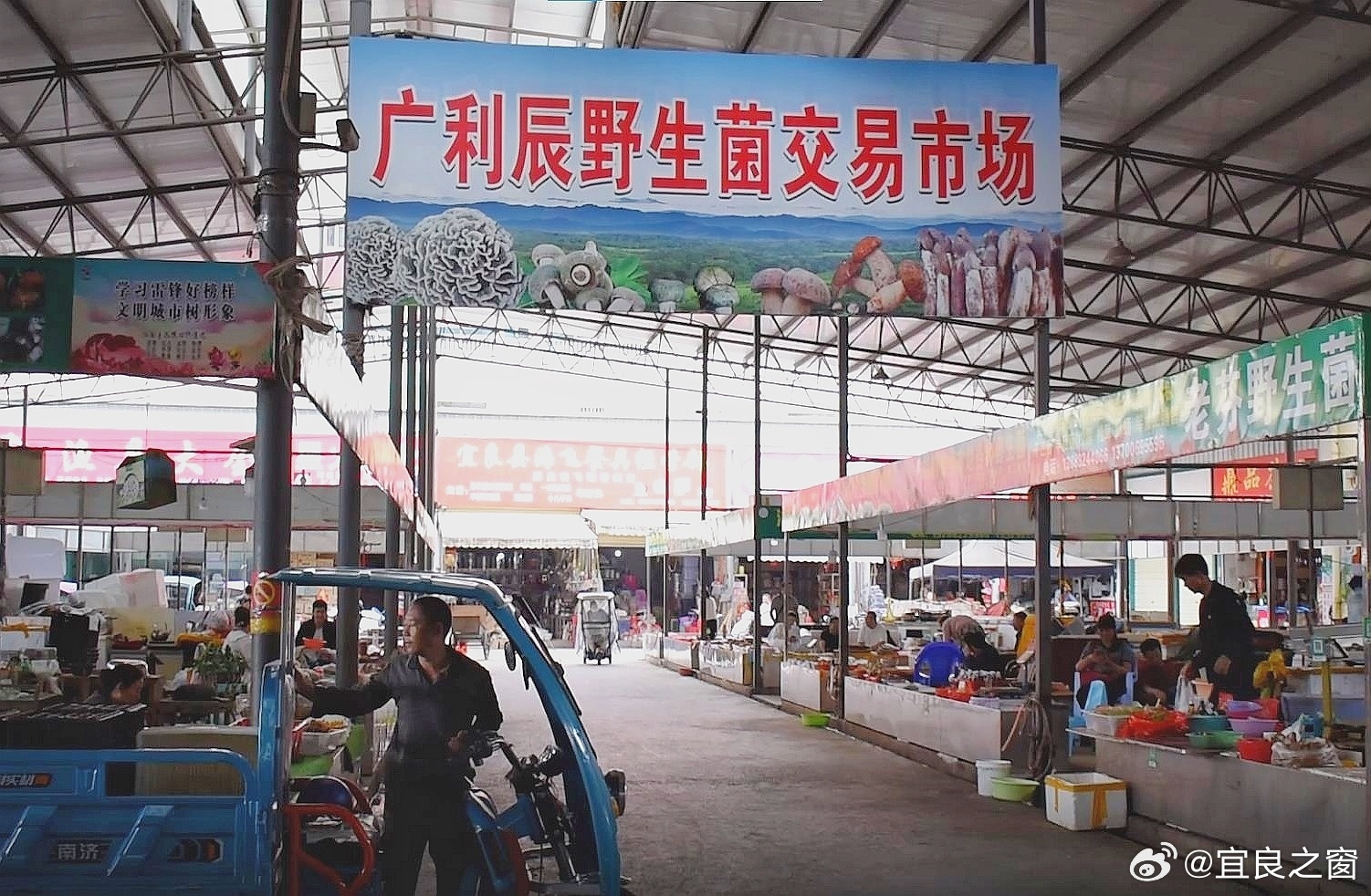 宜良之窗