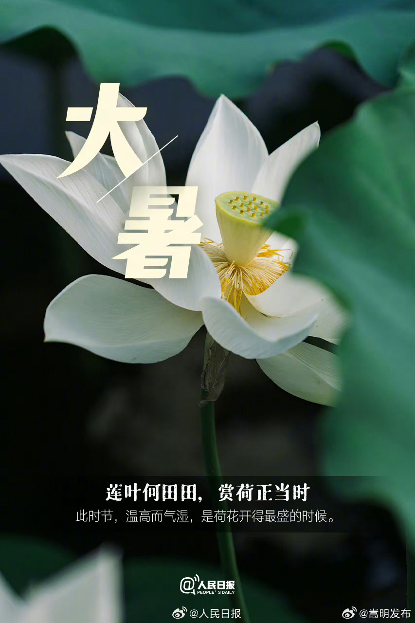 嵩明发布