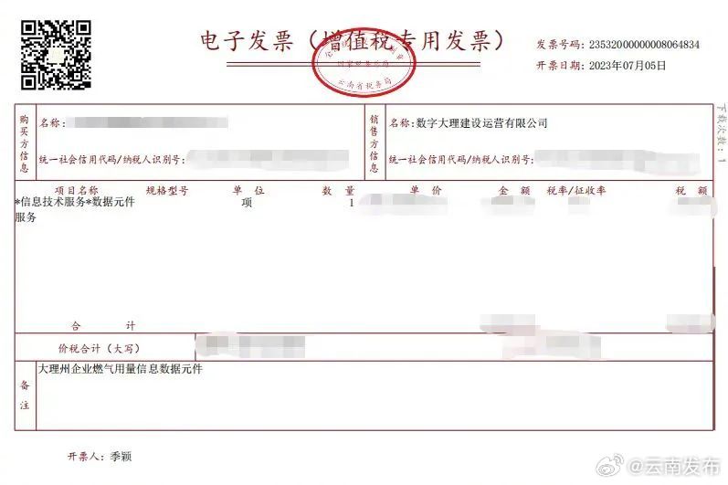 数字大理开出云南首张数据元件发票