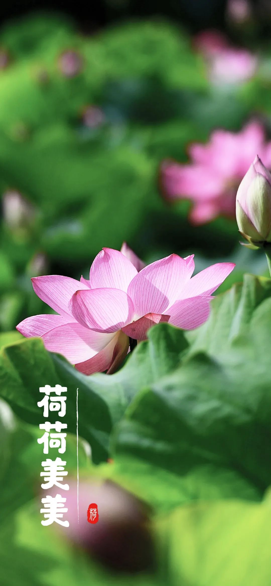 云南省文化和旅游厅