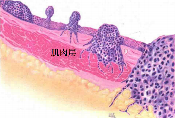 云南省中医医院