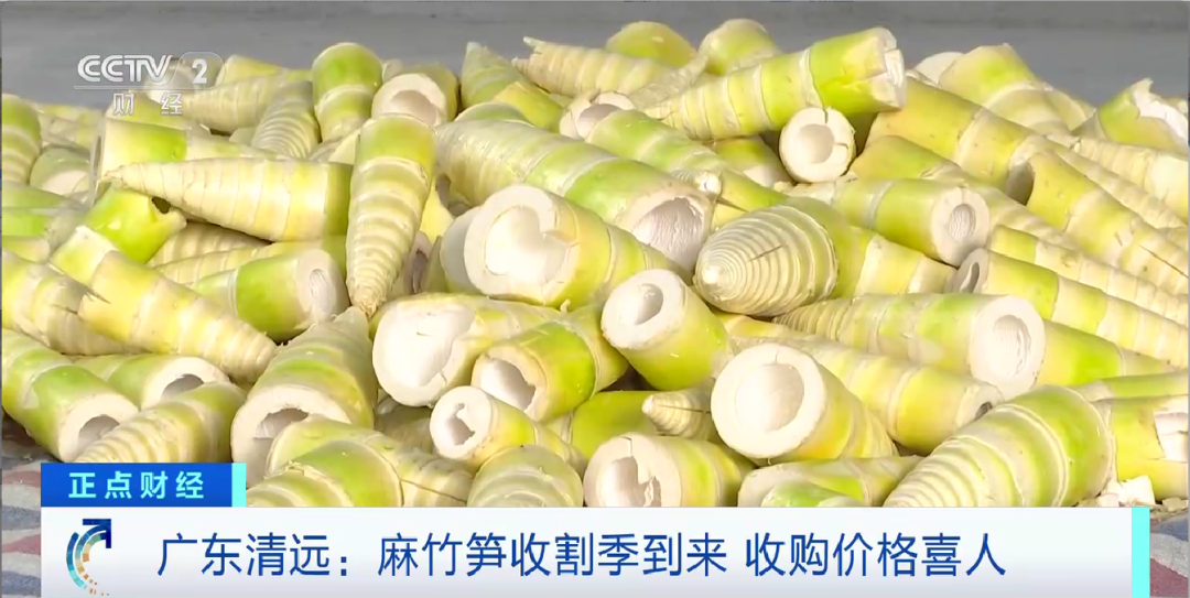 昆明信息港/cnkmxxg