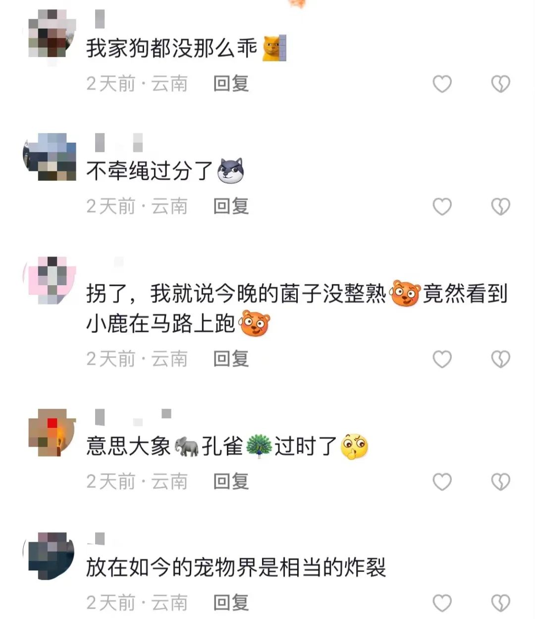 昆明信息港/cnkmxxg