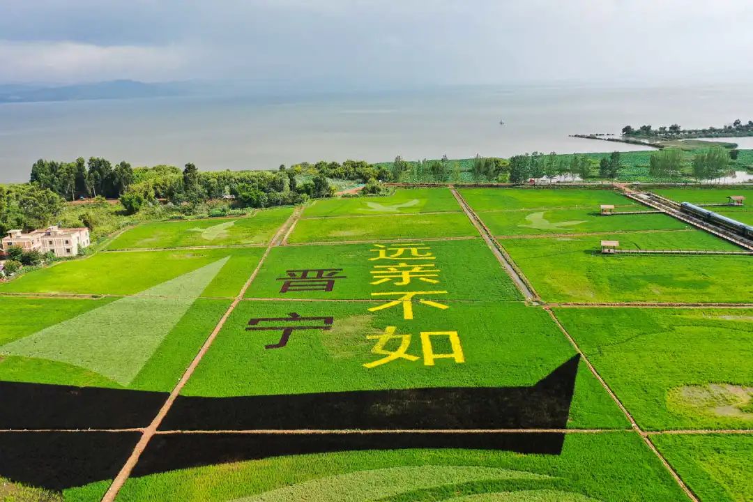 晋宁诗意的栖居地