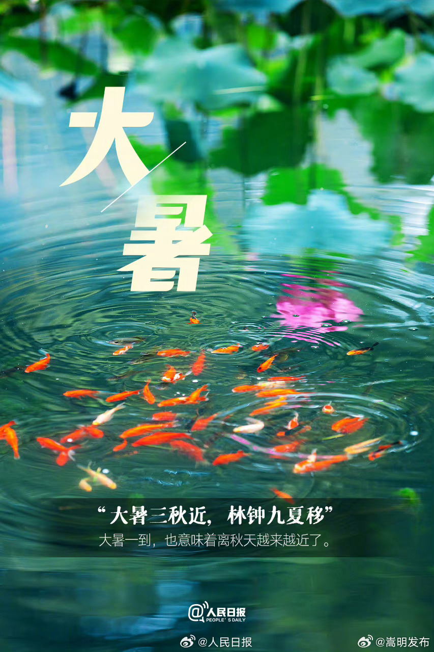 嵩明发布