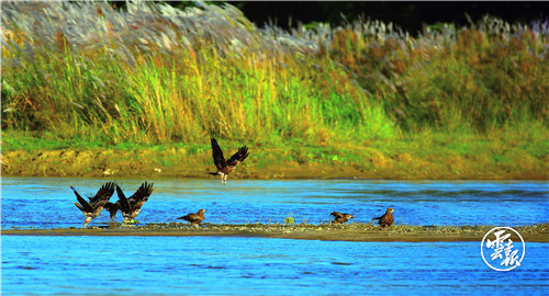 云南省文化和旅游厅
