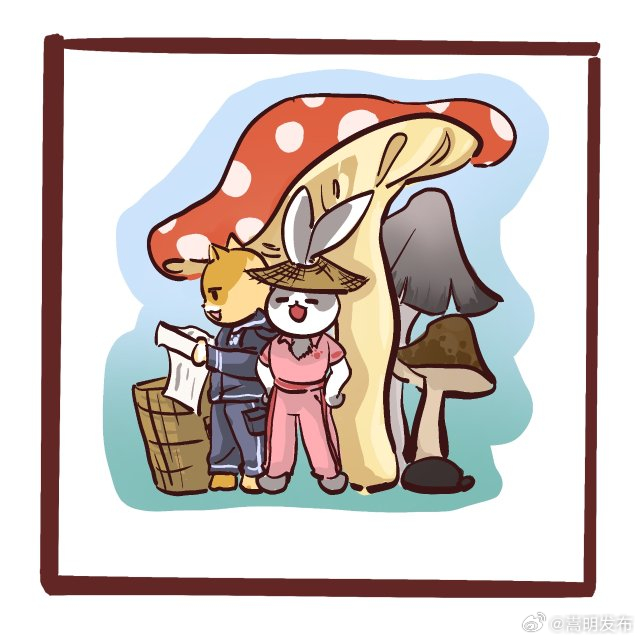 嵩明发布