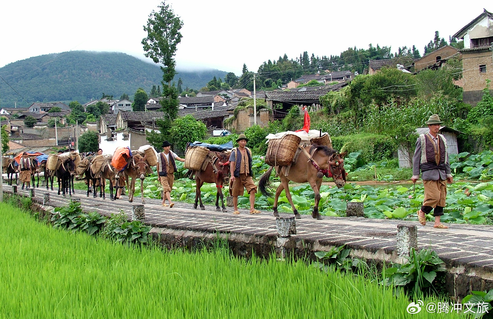 腾冲文旅